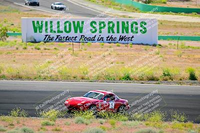 media/May-05-2024-Lucky Dog Racing (Sun) [[8a365fce5b]]/1030am-Turn 3/